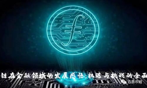 区块链在金融领域的发展感悟：机遇与挑战的全面解析