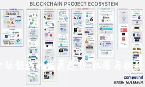 区块链在金融领域的发展感悟：机遇与挑战的全面解析