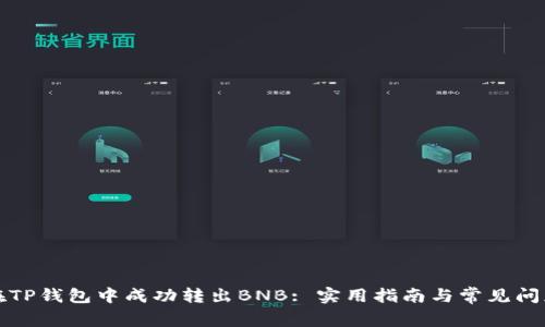 如何在TP钱包中成功转出BNB: 实用指南与常见问题解答