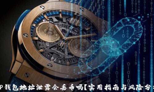 
TP钱包地址泄露会丢币吗？实用指南与风险分析