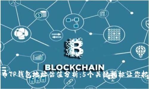 2023年FIL币TP钱包地址估值分析：5个关键指标让你把握市场趋势