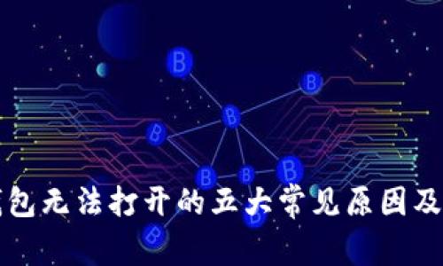 探究TP钱包无法打开的五大常见原因及解决方法