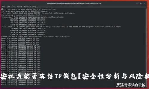 公安机关能否冻结TP钱包？安全性分析与风险提示