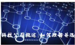 区块链金融科技公司概述