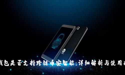 TP钱包是否支持跨链币安智能：详细解析与使用指南
