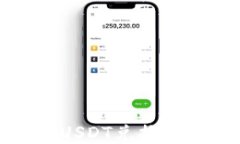 如何在TP钱包中将USDT兑换