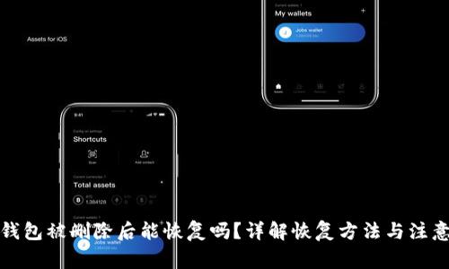 : TP钱包被删除后能恢复吗？详解恢复方法与注意事项