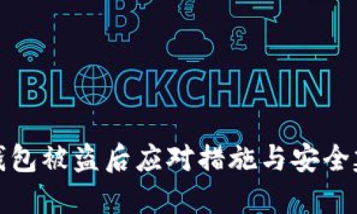 TP钱包被盗后应对措施与安全建议
