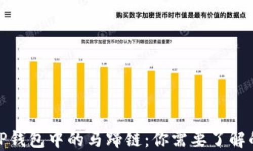 
探寻TP钱包中的马蹄链：你需要了解的一切