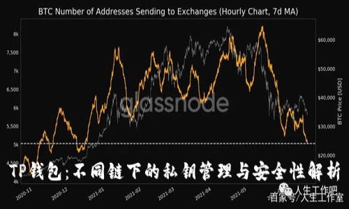 TP钱包：不同链下的私钥管理与安全性解析