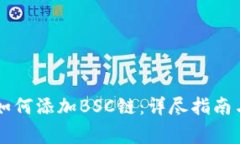 电脑版TP钱包如何添加BS