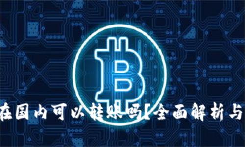 t p钱包在国内可以转账吗？全面解析与使用指南
