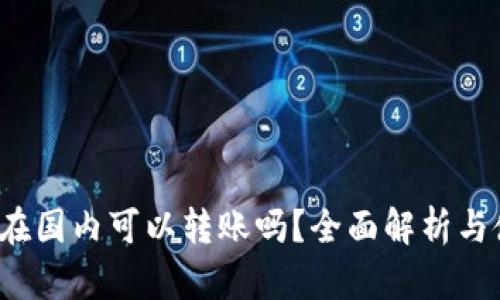 t p钱包在国内可以转账吗？全面解析与使用指南