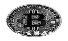 区块链游戏中的加密鲜花