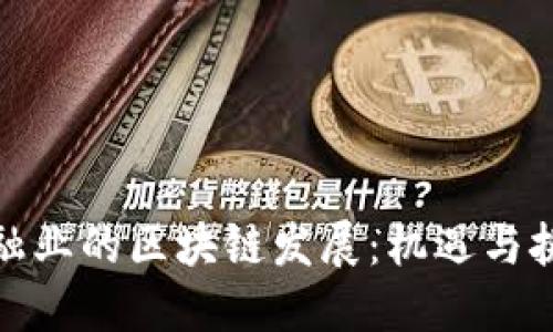 金融业的区块链发展：机遇与挑战