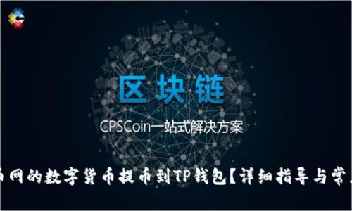 如何将火币网的数字货币提币到TP钱包？详细指导与常见问题解答